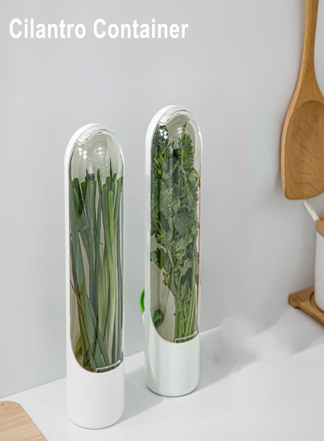 Restynic 2 Pack Herb Keeper Container for Refrigerator, Clear Storage Bottle for Cilantro Parsley Mint, Fresh Produce Saver, Extends Freshness for 2-3 Weeks - Image 3